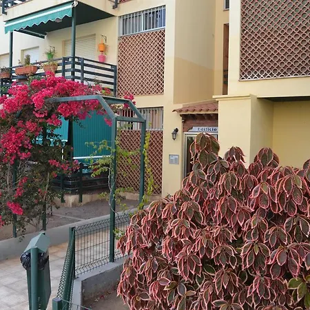 Arona Sunset Apartment *